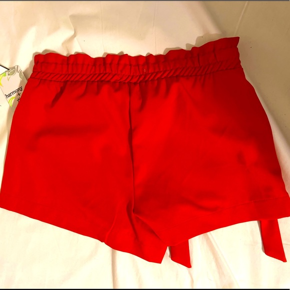 Shorts - Picture 3 of 4